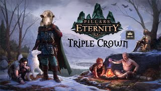 PoE24 Pillars of Eternity Triple Crown Lets play  An audience with Raedric [upl. by Junno]