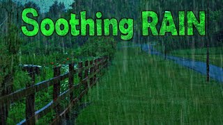 🎧 Fall Asleep with Soothing Rain Sounds  Ambient Noise For Sleeping Ultizzz day55 [upl. by Enelehs4]