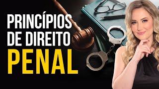 Princípios do DIREITO PENAL Resumo para Iniciantes [upl. by Nosnek]