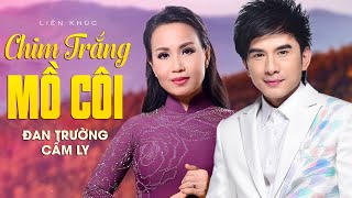 LK Chim Trắng Mồ Côi Sao Anh Ra Đi  Đan Trường Cẩm Ly  Official Music Video [upl. by Redmond112]