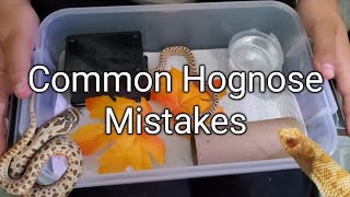 Common Hognose Mistakes [upl. by Nnylirak657]