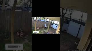 Amazon Delivery Driver Chases Down Package Thief  Shocking Footage Caught on Camera [upl. by Conall]