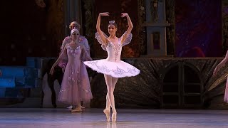 EXTRACT  Dance of the Sugar Plum Fairy  NUTCRACKER Tchaikovsky  National Opera of Ukraine [upl. by Hareemas]