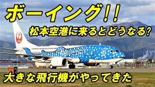 やっぱり大変だった ボーイング737800  信州まつもと空港 [upl. by Eiryt237]