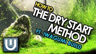 The Dry Start Method  Grow carpet the EASY way [upl. by Powell494]