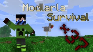 Modlarla Survival  Bölüm 37  Yeni Odalar [upl. by Spurgeon613]