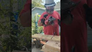 MILWAUKEE M12 FUEL GEN 2 2521 WITH 5 AMP XC BATTERY VS A SANDWICH [upl. by Bonnes16]