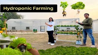 बिना मिट्टी हाइड्रोपोनिक खेती  Hydroponic Farming Economics  Vertical Farming  Hello Kisaan [upl. by Najram]