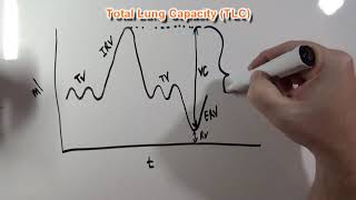 Lung Volumes and Capacities Spirometer Graph [upl. by Ecila655]