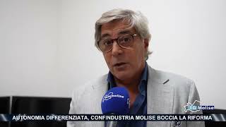 Autonomia differenziata Confindustria Molise boccia la riforma [upl. by Kceb265]