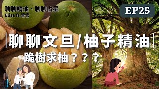 EP25｜聊聊文旦柚子精油｜跪樹求柚？！ [upl. by Ragg]