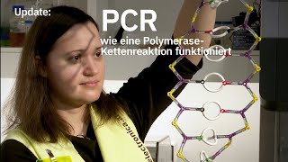 Update PCR – wie eine PolymeraseKettenreaktion funktioniert [upl. by Mazel]