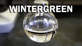 Making Wintergreen a minty odor and flavoring [upl. by Esnahc533]