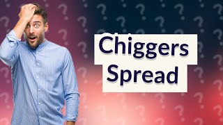 How do chiggers spread on your body [upl. by Baseler]