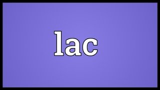 Lac Meaning [upl. by Salahi]