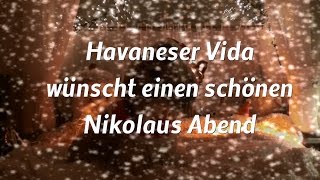 Havaneser Vida wünscht einen schönen Nikolaus Abend [upl. by Mickelson]