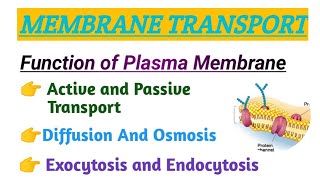 MEMBRANE TRANSPORT  FUNCTION OF PLASMA MEMBRANE  ACTIVE TRANSPORT  PASSIVE TRANSPORT [upl. by Everest]