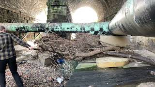 Unblocking Huge Culvert Blockage pt2 blocked with trees [upl. by Amat]