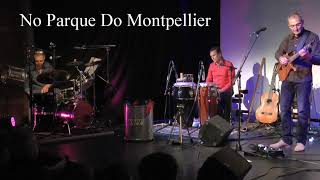 Andre Krikula Trio NoParque do Montpellier [upl. by Dewhurst353]