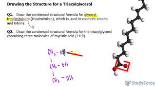 Drawing the Structure for a Triacylglycerol [upl. by Elleved]