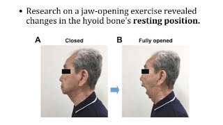 Looksmaxing How to raise the hyoid bone [upl. by Saixela831]