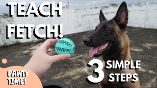 How To Teach Fetch In 3 Simple Steps [upl. by Edwin]