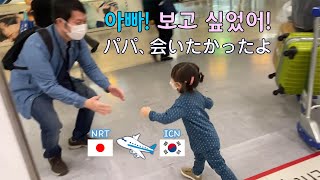 【한일부부】 드디어 아빠랑 재회✈ 한국에서 일본으로 VLOG74 ついにパパと再会  韓国から日本へ [upl. by Guido]