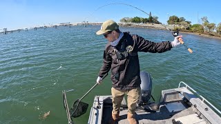 BFS Fishing the Brisbane River  Finding Fish and Bait on Side Imaging [upl. by Ecnarret]