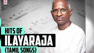 HITS BY ILAYARAJA INSTRUMENTAL [upl. by Carolus]