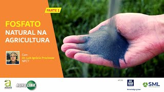 298  FOSFATO NATURAL NA AGRICULTURA  ENTREVISTA COM DR LUIS I PROCHNOW  PARTE 1 [upl. by Salkin566]