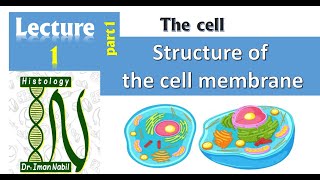 1aStructure of cell membranePart1 Lipids and Proteins [upl. by Py]