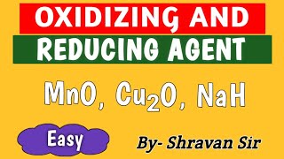 How To Identify Oxidizing And Reducing Agent  Super Easy Trick  Class 11th  JEE  NEET [upl. by Ariajaj]