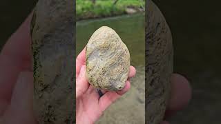 Big Beautiful Stromatolite Fossil Found On quotFlowquot The River [upl. by Bendix]