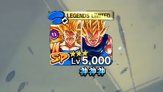 Tag Goku amp Vegeta Unique Ability Can Handle The Current Meta [upl. by Greenebaum]