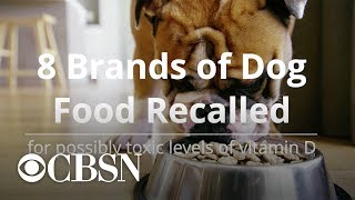 8 brands of dog food recalled [upl. by Silra]