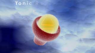 Tonic versus Phasic Sensory Receptors How They Work in Central Adaptation and Peripheral Adaptation [upl. by Pall]