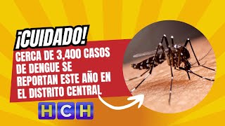 ¡Cuidado Cerca de 3400 casos de dengue se reportan este año en el Distrito Central [upl. by Ledairam116]