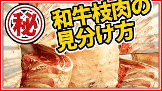 【特別取材】セリ前の懸肉室で枝肉の見分け方を学ぶ！《雑学編》常識が変わる！知ってるつもりで意外と知らないお肉の世界！ 肉肉チャンネル～おもいのフライパン公式 [upl. by Boot]