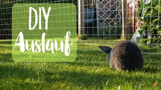 Auslauf für Kaninchen selber bauen I DIY Freilauf [upl. by Ecyle]