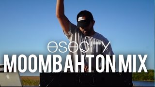 Moombahton Mix 2017  The Best of Moombahton 2017 by OSOCITY [upl. by Snowman]