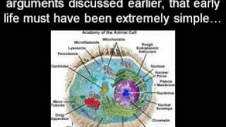 Abiogenesis As Postulated by Dr Szostak Kieran Griffith [upl. by Gus]