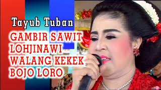 GAMBIR SAWIT  LOHJINAWI  Gending Alusan  Tayub Tuban Nonstop [upl. by Srevart]