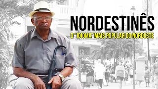 15 histórias que se passam no nordeste  Dia do Nordestino [upl. by Latsyek]