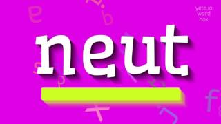 HOW TO SAY NEUT [upl. by Hak]