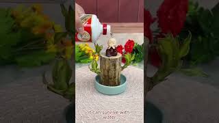 Home garden plant suitable for indoor cultivation shortsvideo shorts india plantlovers [upl. by Sadnalor]