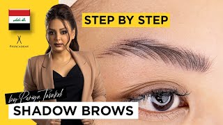 Shadow Brows Course  StepbyStep Microblading amp PMU by PhiAcademy  Microshading [upl. by Rehtnug]