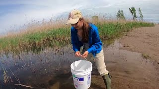 Herpetologist Jessica Ford Get to Know a Scientist [upl. by Biagi]