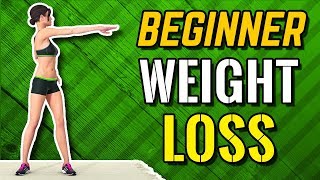 Beginner Weight Loss Workout  Easy Exercises At Home [upl. by Areehs]