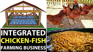 Integrated Goat Chicken and Fish Farming  Integrated Farming System [upl. by Assilac]