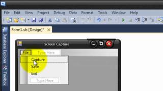 How to Make Your own Screen CaptureVisual Basic 2010 [upl. by Tessil]